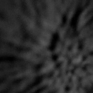 Meet your Posher, Josh